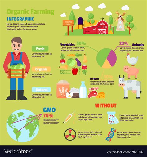 Organic Farm Infographic Royalty Free Vector Image