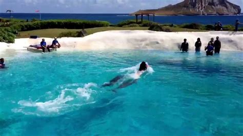 Sea Life Park Dolphin Royal Swim Oahu Hawaii 與海豚共泳 シー・ライフ・パーク・ハワイ