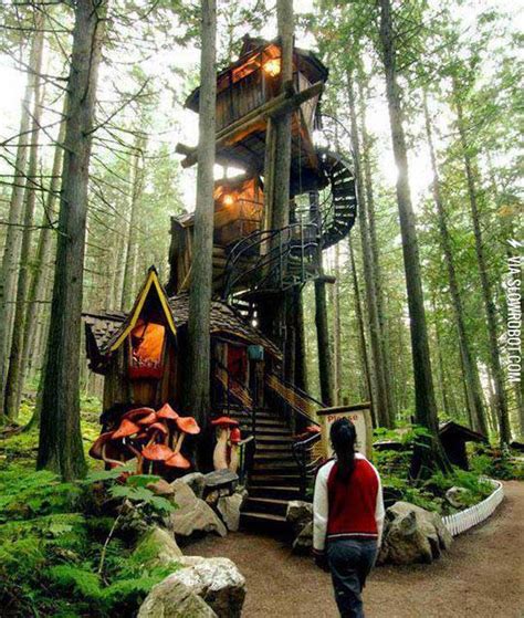 Now That S A Tree House