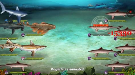 Shark World Dogfish Youtube