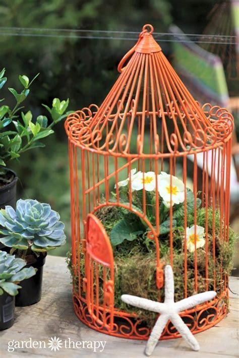 20 Best Decoration Ideas With Birdcage Planters In 2021