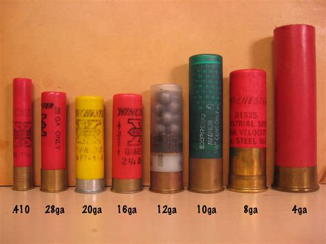 By far the most popular is double ought buck and then there is number 4 buck. Shotshell-Comparison | Armory Blog