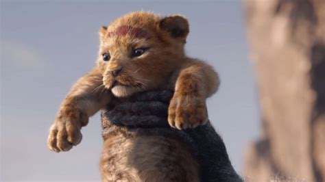 the lion king official teaser trailer is here abc news