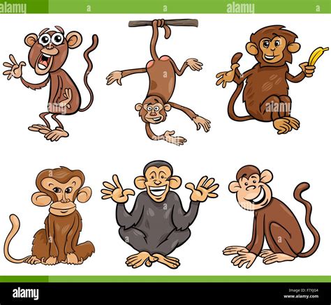 Monkeys Cartoon Set Illustration Stock Vector Image And Art Alamy