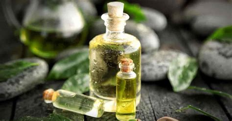 Scientific study of tea tree oil is a fairly recent development, but the research clearly shows that tea tree oil is definitely an effective treatment for. 7 Tips For Using Amazing Tea Tree Oil For Acne Treatment