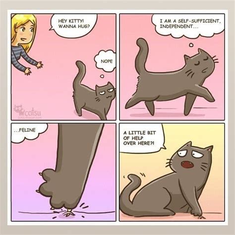 11 comic illustrations that only crazy cat owners will relate to