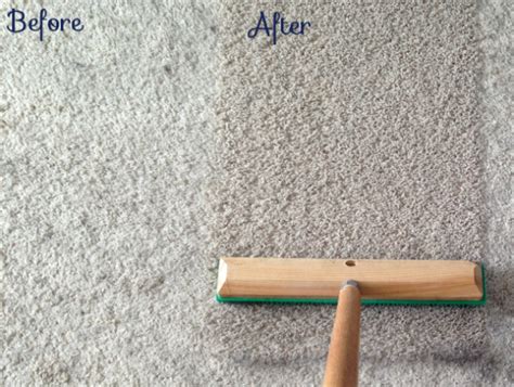 To remove clinging pet hair, just pass the brush in the direction of the bristles to pick up the hair. Carpet Pet Hair Removal Using 4 Useful Household Tools