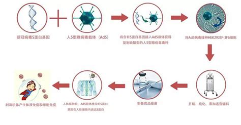 เผย 'วัคซีนชนิดสูดดม' Ad5-nCoV ฝีมือนักวิทย์จีน ทดลองระยะแรกปลอดภัยในมนุษย์