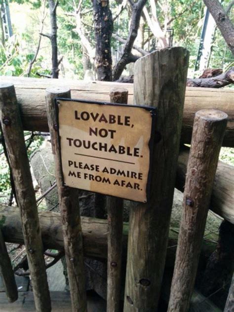 Asked about 2 years ago by tink. 40 Funny Zoo Signs That Are Better Than Tapping On The Glass