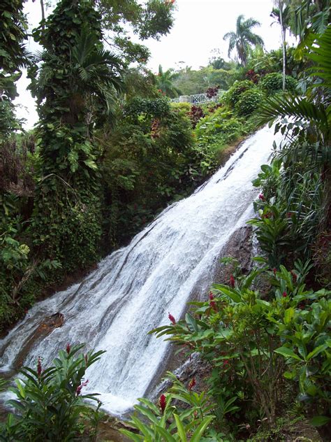 Waterfall In Ocho Rios Jamaica Cuba Ocho Rios Motherland Vacation