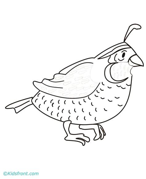 Quail Coloring Pages - Coloring Home