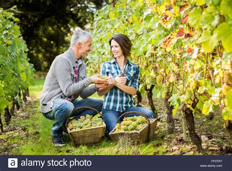 Caucasian Farmers Holding Grapes In Vineyard Stock Photo Alamy