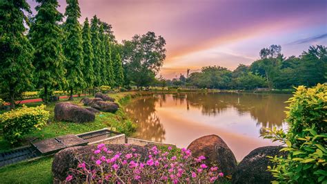 Wallpaper Lake Flowers Trees Landscape Spring Hd Picture Image