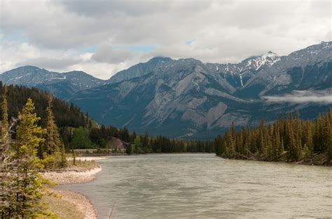 Premium Photo Athabasca River Jasper National Park Alberta Canada