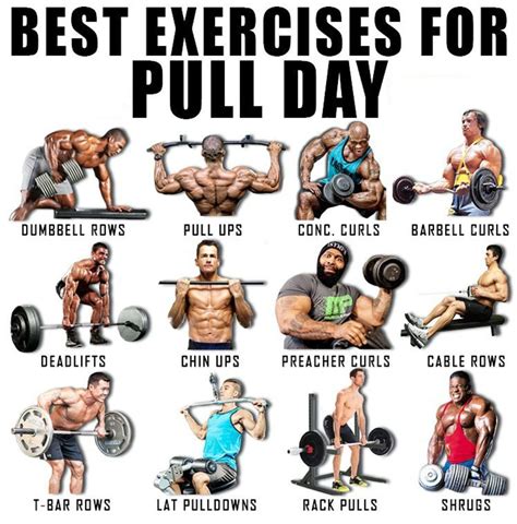 Pull Day Exercises Push Workout Pull Day Workout Push Pull Workout