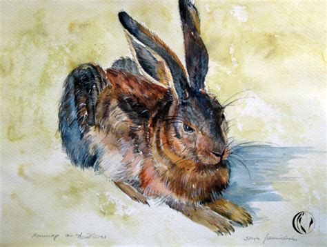 Das meinekraft resource pack bietet dir sehr gut und sehr niedlich gestaltete tiere. Hase - Aquarellmalerei - Malen am Meer®