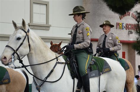 Los Angeles County Sheriff Department Lasd Mounted Enforcement Detail
