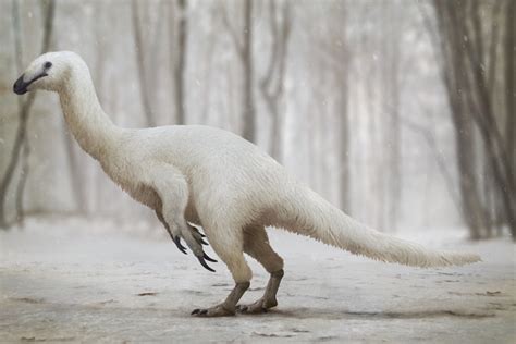 Alaskan Therizinosauridae Prehistoric Animals Feathered Dinosaurs