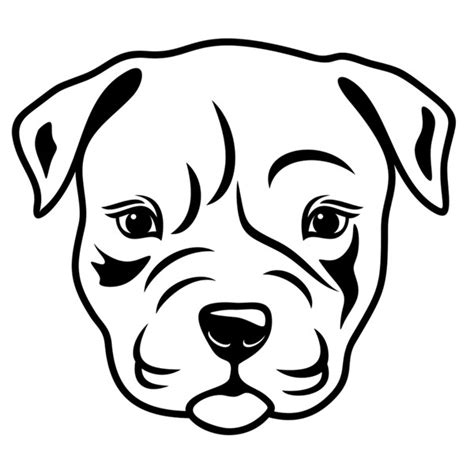 Pitbull Puppy Drawing At Getdrawings Free Download