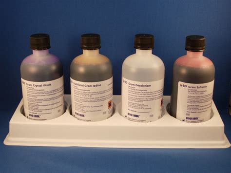 Bbl Gram Stain Kits Medix ® Your On Line Laboratory Supply Shop