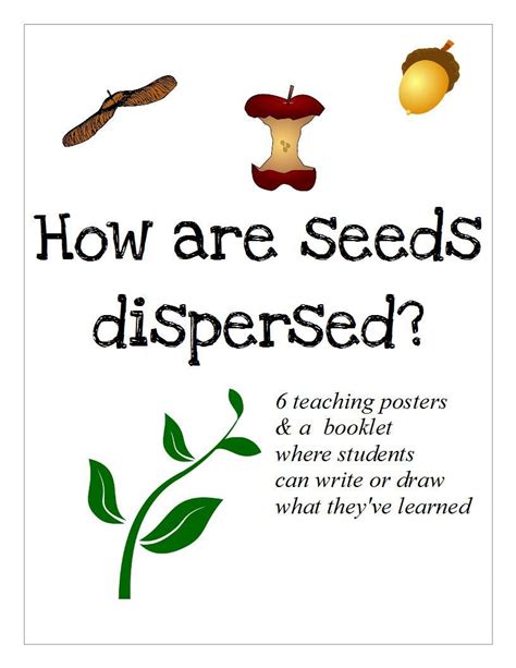 Seed Dispersal How Are Seeds Dispersed Seed Dispersal Teaching