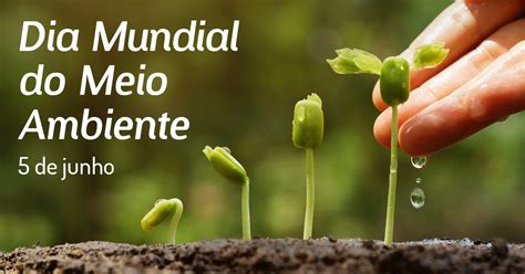 Dia Mundial Do Meio Ambiente 5 De Junho Calendarr