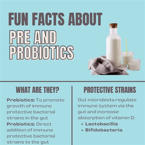 Fun Facts About Pre And Probiotics Flccc Alliance