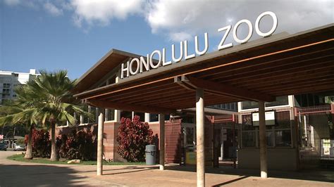 Honolulu Zoo Societys Wildest Show Brings Entertainment Activities