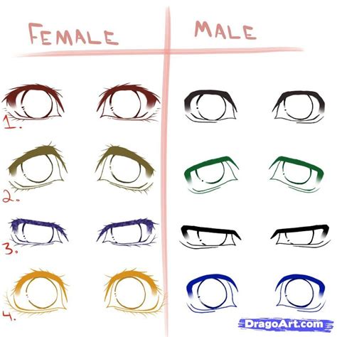 How To Draw Different Anime Eyes Step By Step Anime Eyes Anime Draw