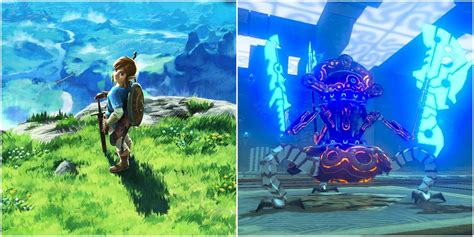Breath Of The Wild Complete Guide To The Bird In The Mountains And The