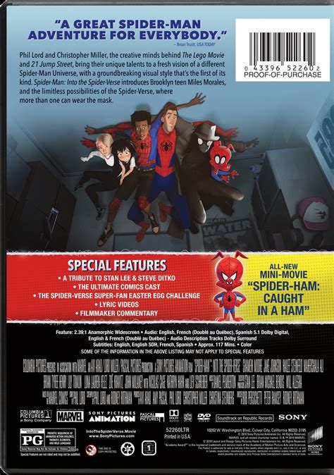 Buy Spider Man Into The Spider Verse Dvd At Ubuy India