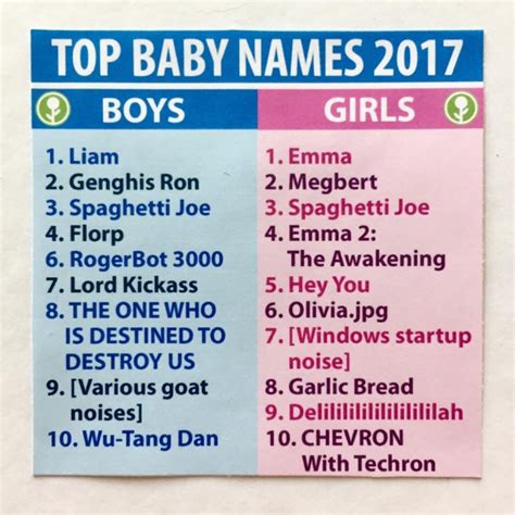 Korean names are written in hanja that is a korean name for chinese characters. Top baby names 2017