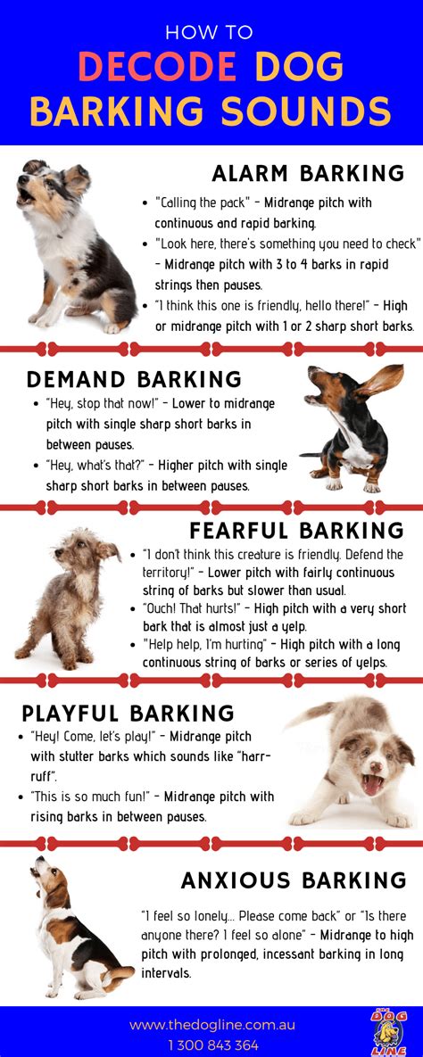 Decoding Dog Barking Sounds The Dog Line