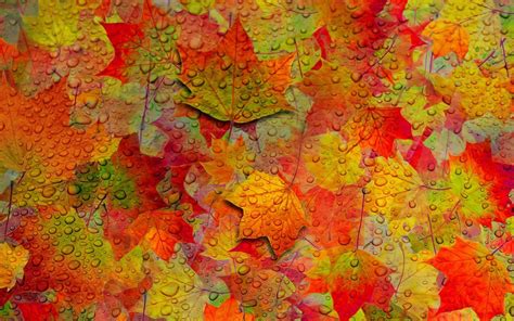 Fall Abstract Wallpapers Top Free Fall Abstract Backgrounds