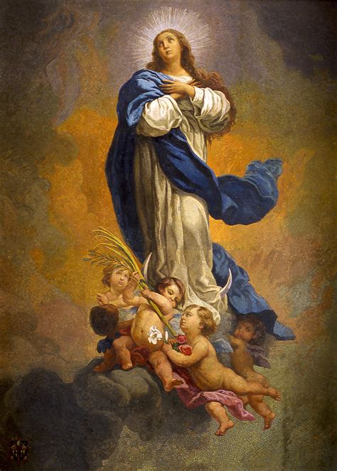 Solemnity Of The Immaculate Conception — The National Shrine Of Saint