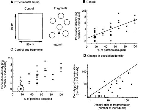 A Schematic Representation Not To Scale Of A Single Replicate Of