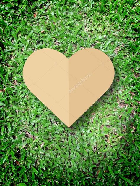 Hand Holding Heart Love The Nature Symbol Grass Background Stock Photo