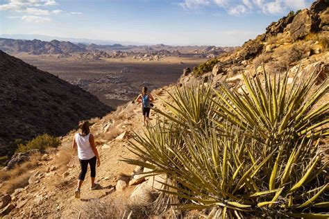 The 3 Best Hikes In Joshua Tree National Park Rei Co Op Adventure Center