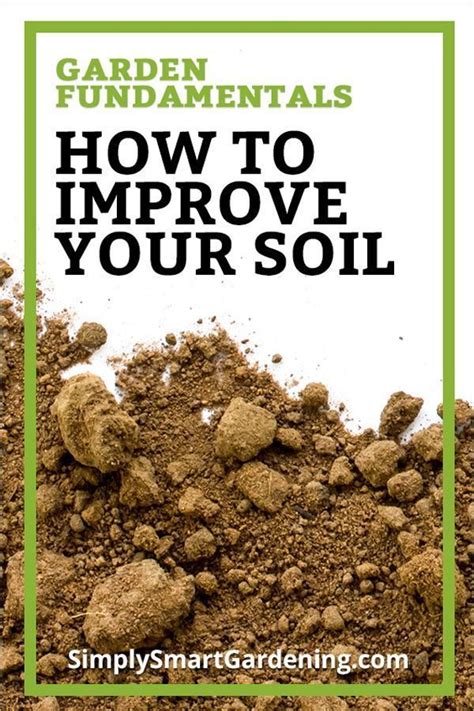 This 3 ingredient succulent potting mix recipe uses 3 parts potting soil, 2 parts coarse sand (turface or poultry grit), and 1 part perlite (or pumice). Gardening 101: Understanding Your Garden Soil | Garden ...