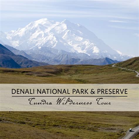 Sled dogs and winter travels by dog team are a large part of the history and tradition of denali, but they are also an important part of our modern park operations. Traveling 53 miles into the park to the Toklat River rest ...