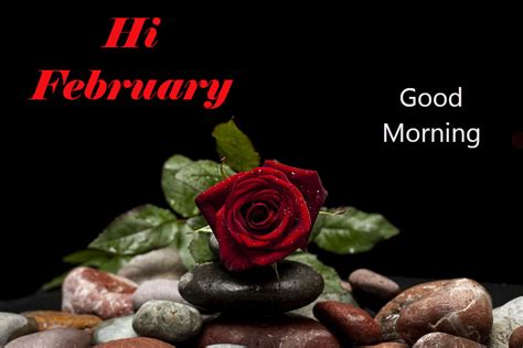 Top 10 Good Morning Hello February Images Greating Picturesphotos For