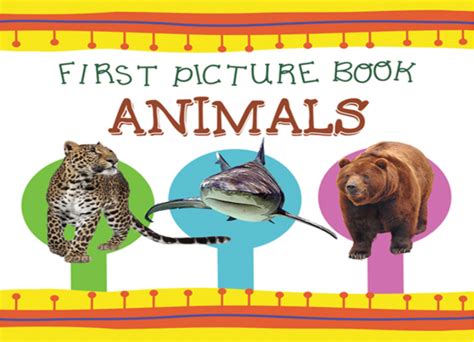My First Picture Book Animals At Rs 3500piece Children Books In