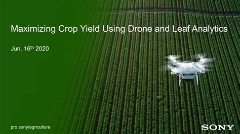 Maximizing Crop Yield Using Drone And Leaf Analytics Youtube