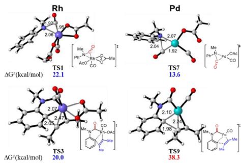 DFT Computed Transition State Structures Of CO Insertion And Alkyne