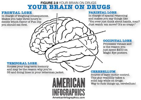 Your Brain On Drugs Pic