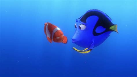 In Finding Nemo 2003 Marlin Explains To Dory Why The Jellyfish Sting