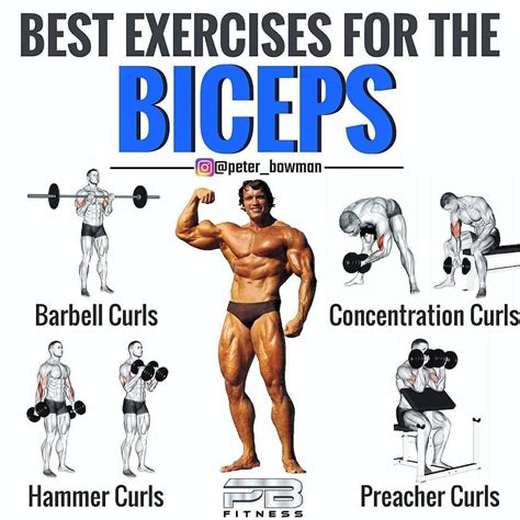 Bicep And Tricep Workout Image By Brandon On Exercises Biceps Workout Big Biceps Workout
