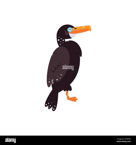 Vector Illustration On White Background Cormorant Bird Stock Vector Image And Art Alamy