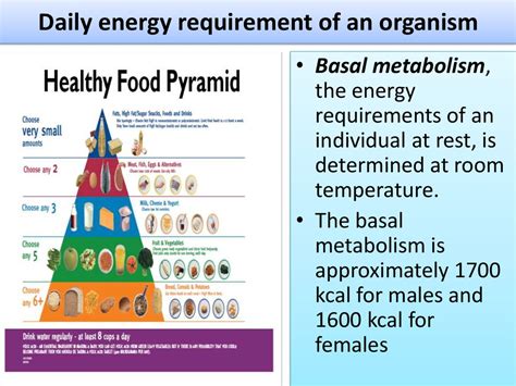 Carbohydrates are a main source of energy for the body and are made of carbon, hydrogen, and oxygen. Metabolism of Carbohydrates-Lipids-Proteins - online ...