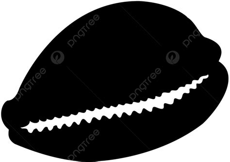 Cowrie Shell Png Transparent Images Free Download Vector Files Pngtree